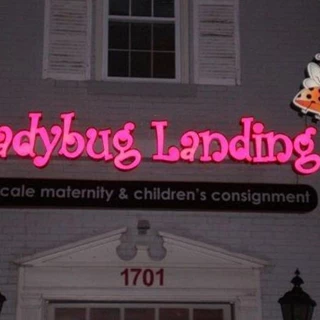  - Image360-Lexington-KY-Illuminated-Channel-Letters-Retail-Ladybug-Landing